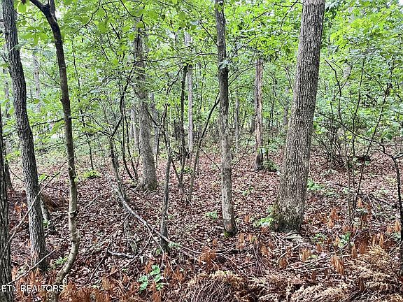 4th image of 0 Sycamore Dr Lot 222