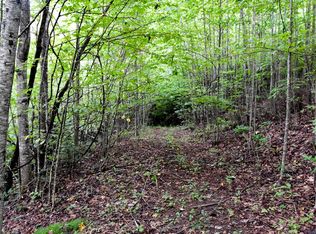 Simmons Rd, Burnsville, NC 28714