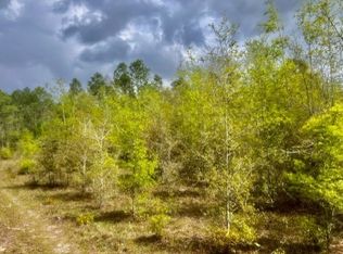 0 NE 998th Ave, Branford, FL 32008