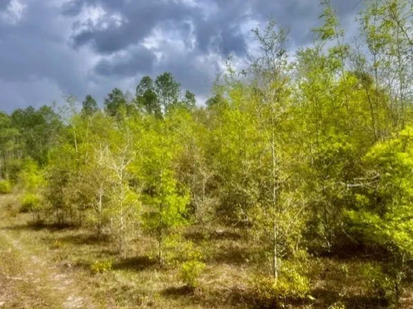 0 NE 998th Ave, Branford, FL 32008