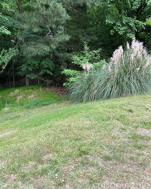 2nd image of 0 Lake Providence Ln