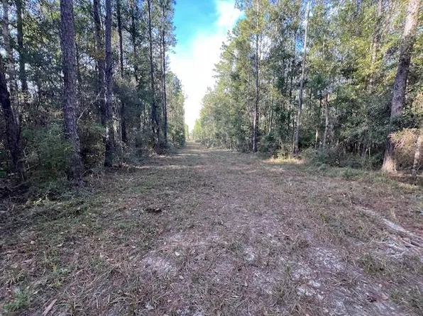 11.62 Ac Hwy #32, Andalusia, AL 36420