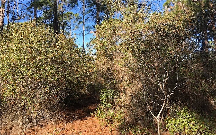2nd image of 256 Blue Heaven Dr