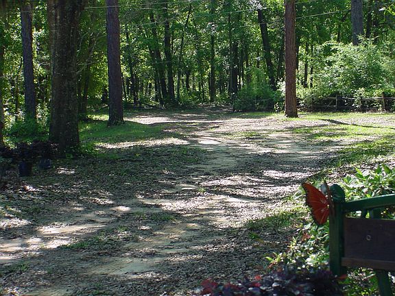4th image of 113 Norman Road