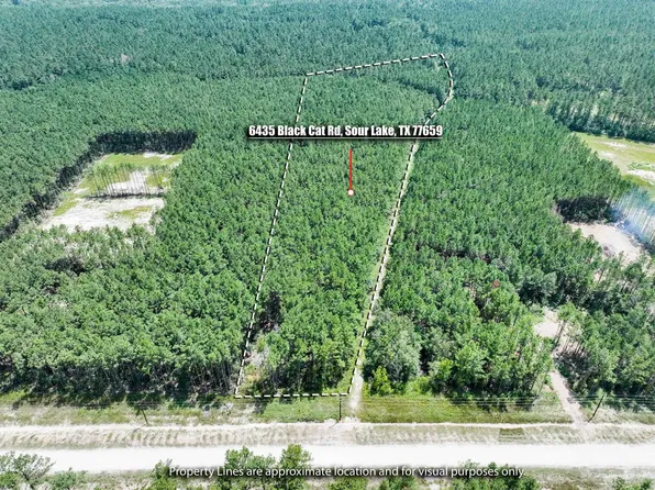 6435 Black Cat Rd, Sour Lake, TX 77659