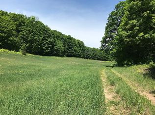 18128 Swanson Rd, Bear Lake, MI 49614