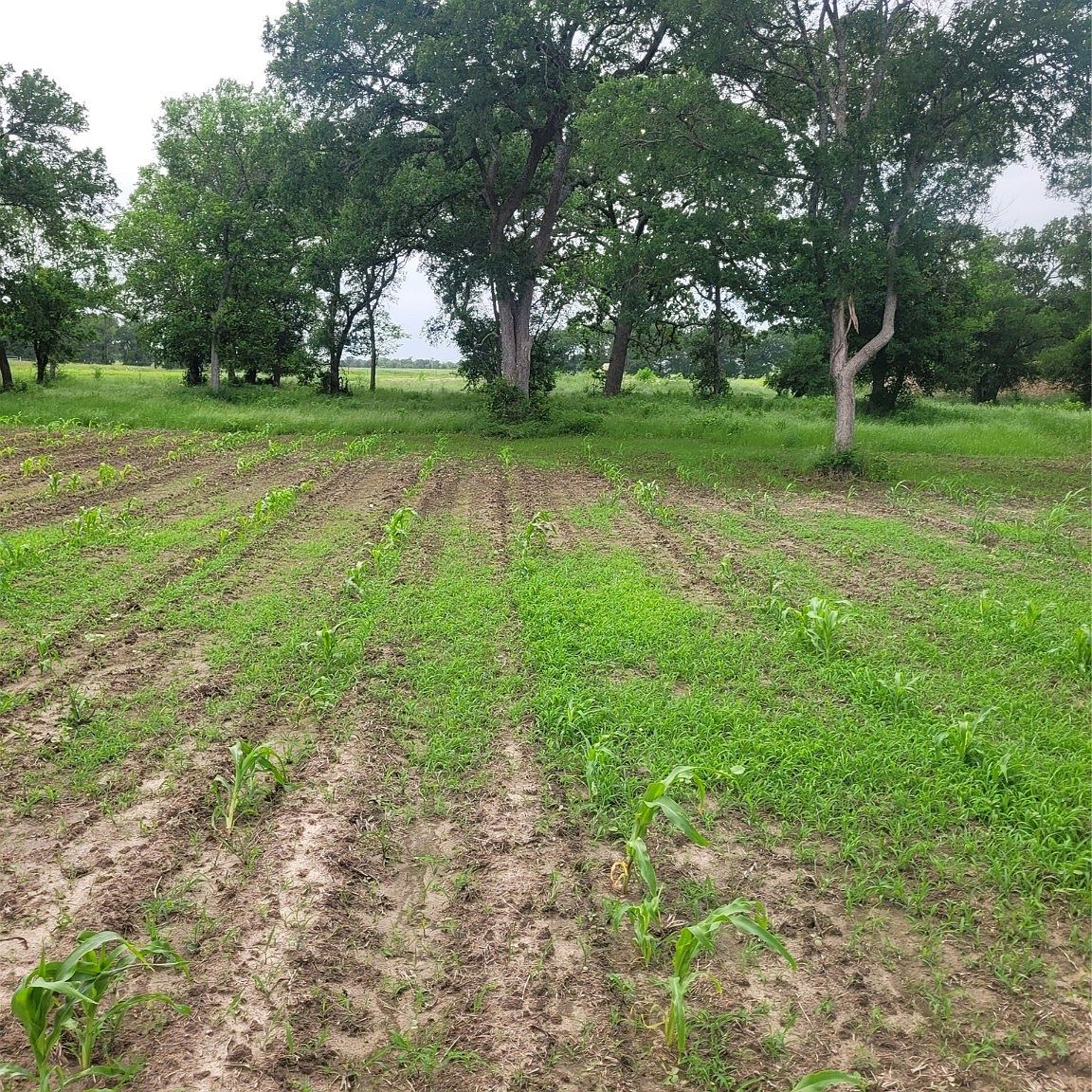 7628 SW County Road 4200, Purdon, TX 76679 MLS 20598966 Zillow