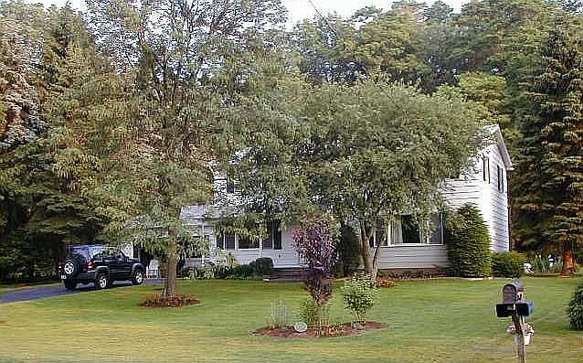 front yard