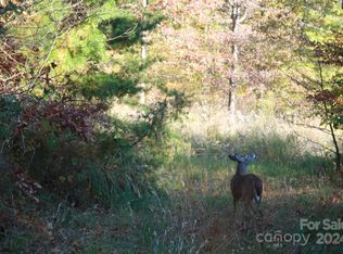 159 Clarks Chapel Ext, Weaverville, NC 28787