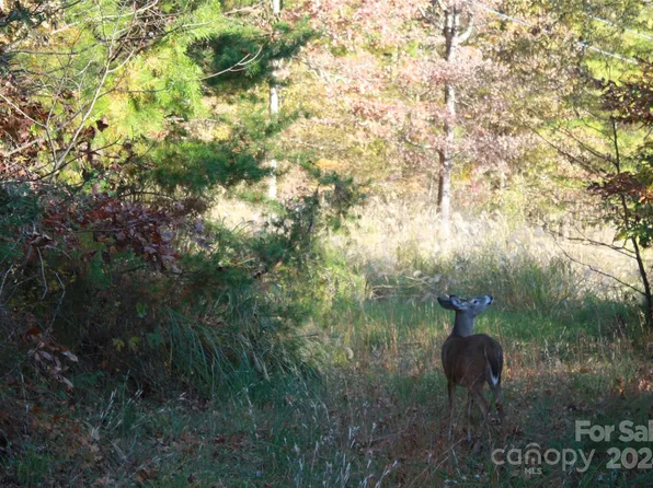 159 Clarks Chapel Ext, Weaverville, NC 28787