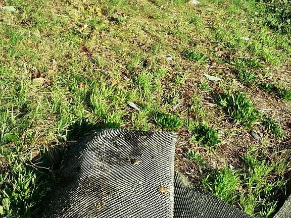 4th image of 2642 Gravelly Beach Loop NW