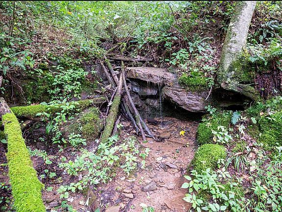 2nd image of 786 Wilson Run Rd