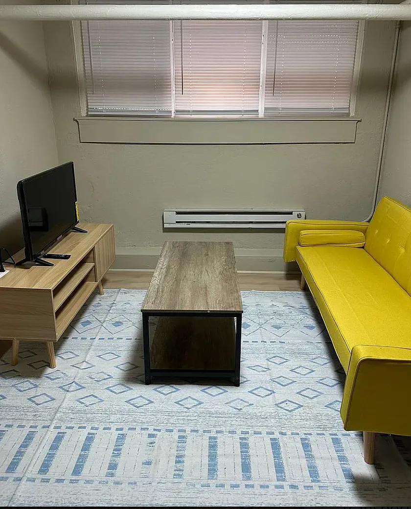 1 bed, 470 sqft, $2,500 — Photo 3