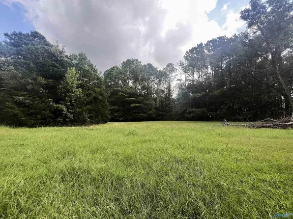 99 Bobwhite Dr, Oxford, AL 36203