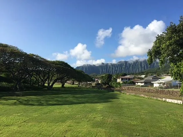 1441 Akamai Pl — Photo 11