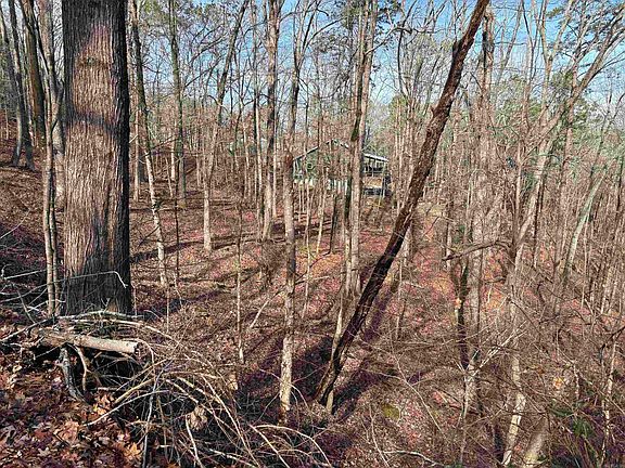 4th image of (Undisclosed Address)