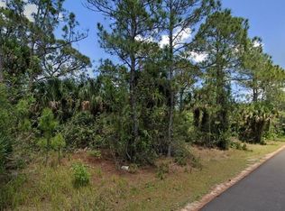 335 Frazer St SW, Palm Bay, FL 32908