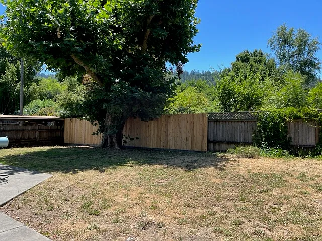 Large fully fenced back yard