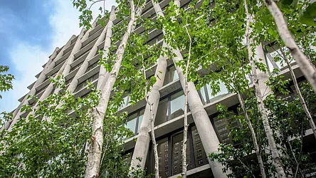 170 Amsterdam at 170 Amsterdam Avenue in Lincoln Square