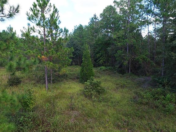 5th image of 7540 State Road 13 N