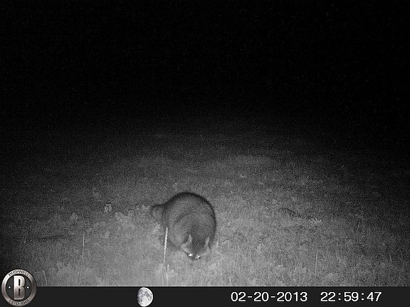 5th image of 0 Sassafras Dr