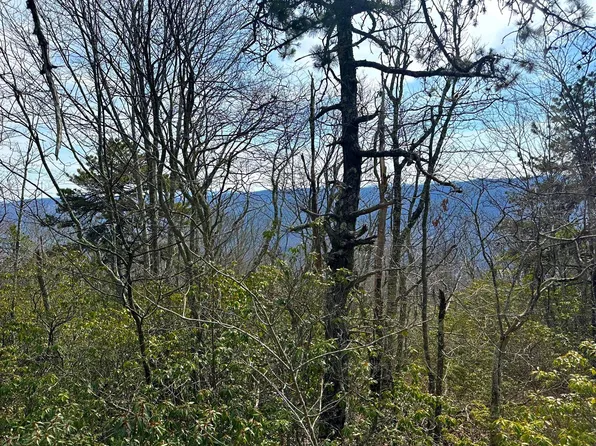 11 Acs Summit Dr, Franklin, WV 26807