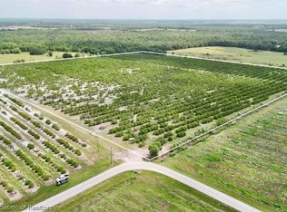 Crewsville Rd, Zolfo Springs, FL 33890