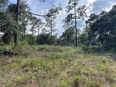 0 NE 122nd Ave #5, Williston, FL, 32696