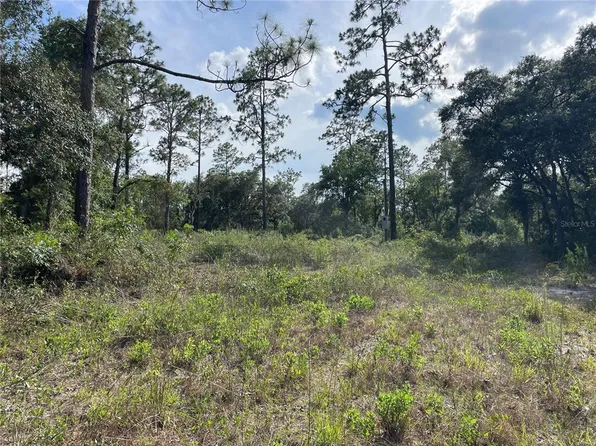 0 NE 122nd Ave #5, Williston, FL 32696