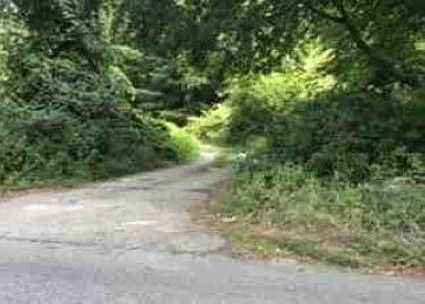 Exterior Neighborhood (street photo)