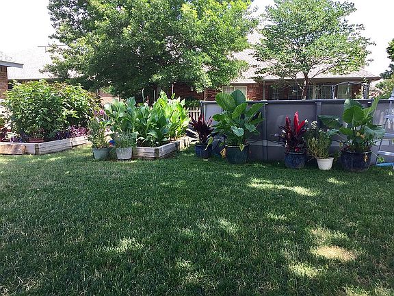 Backyard with raised bed