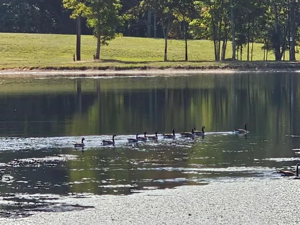 210 Fancy Lady Ct, York, SC 29745