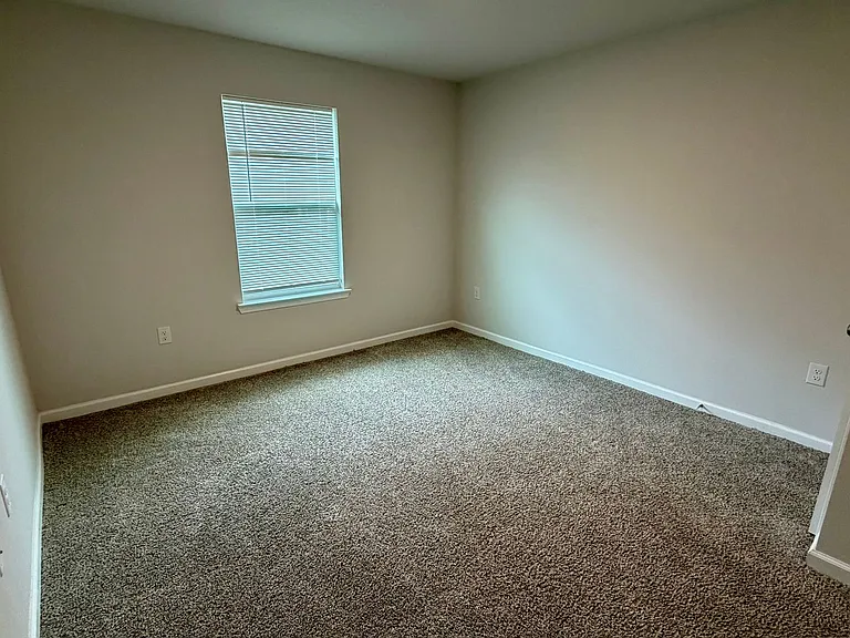 250 Boggy Creek Way — Photo 16