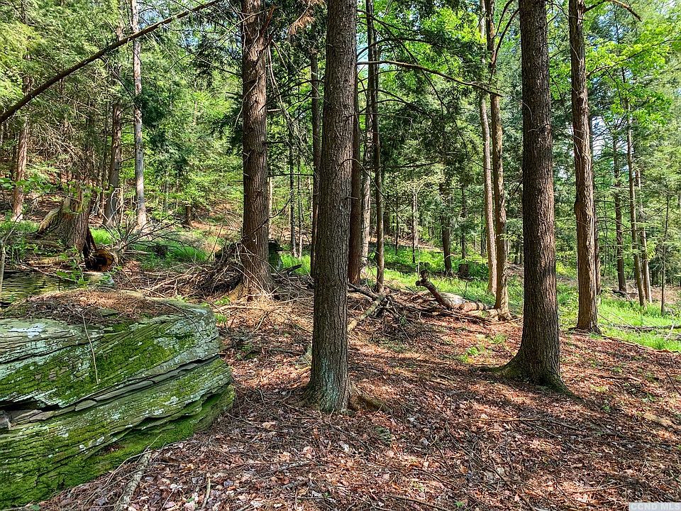 0 County Highway 44, Unadilla, NY 13849 MLS 146686 Zillow