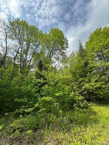 5563 Calderwood Rd, Trout Creek, MI, 49967