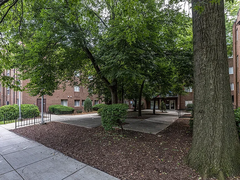 Wooded Public Spaces Throughout Community