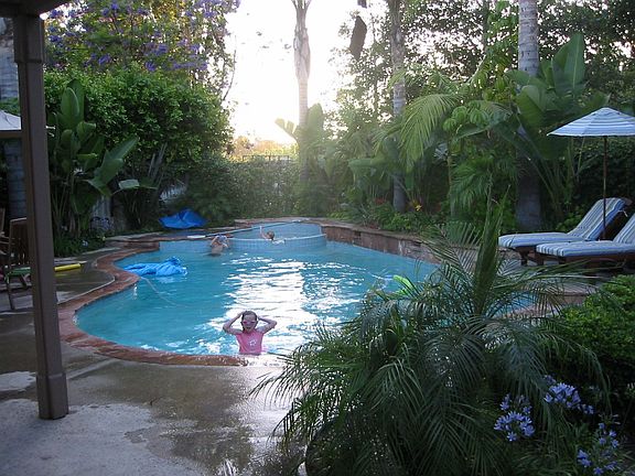 Backyard pool