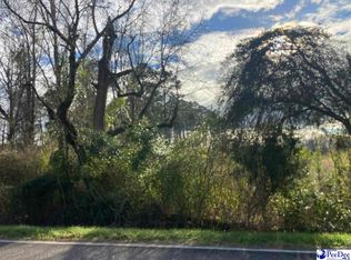 300 Tbd Rd, Lake View, SC 29563