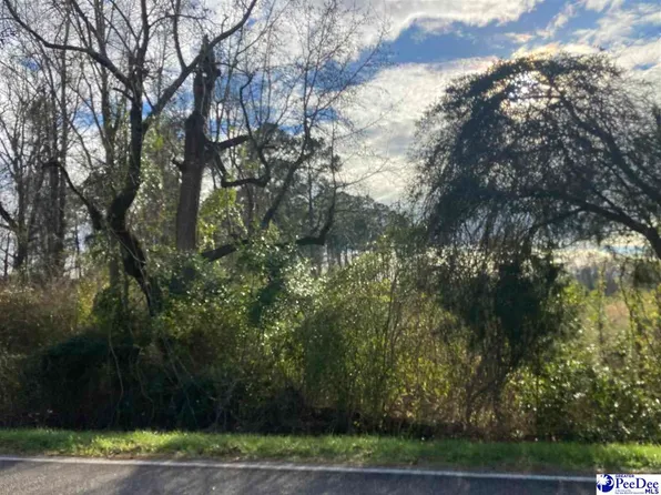 300 Tbd Rd, Lake View, SC 29563