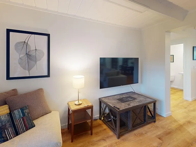 Lower family room