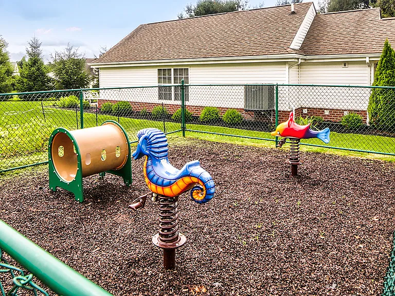 Playground