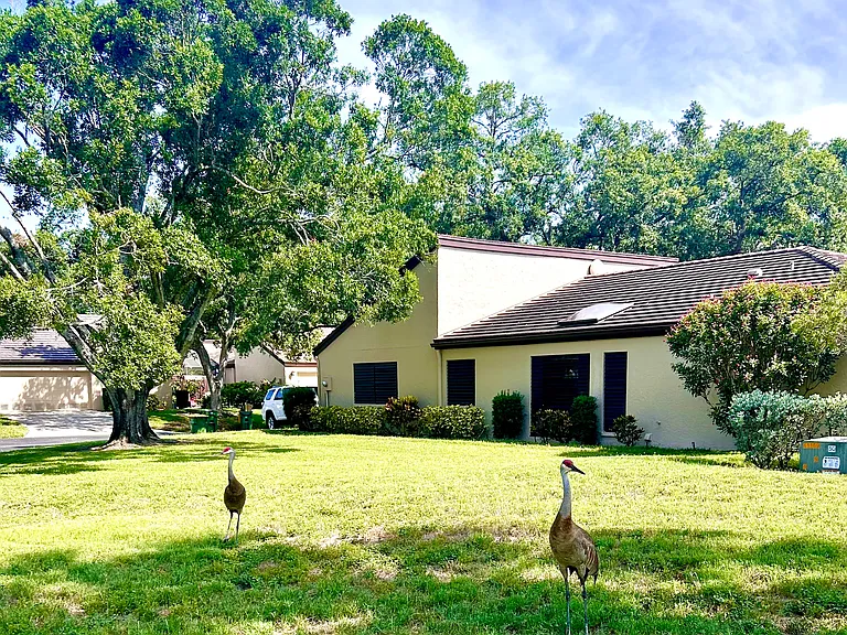 3900 Glen Oaks Manor Dr — Photo 11