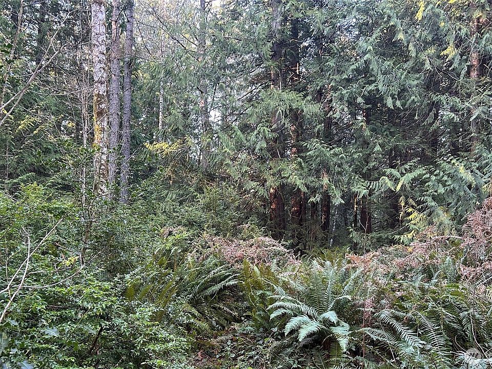 2nd image of 0 Foley Lane NW