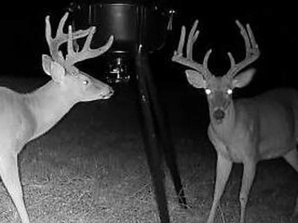 358 Robinson Springs Rd, Flora, MS 39071