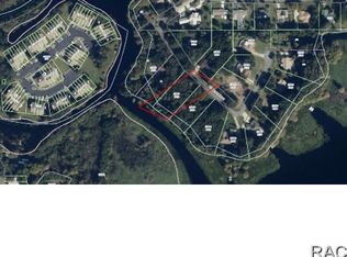 2090 S Lake Spivey Point, Inverness, FL 34450
