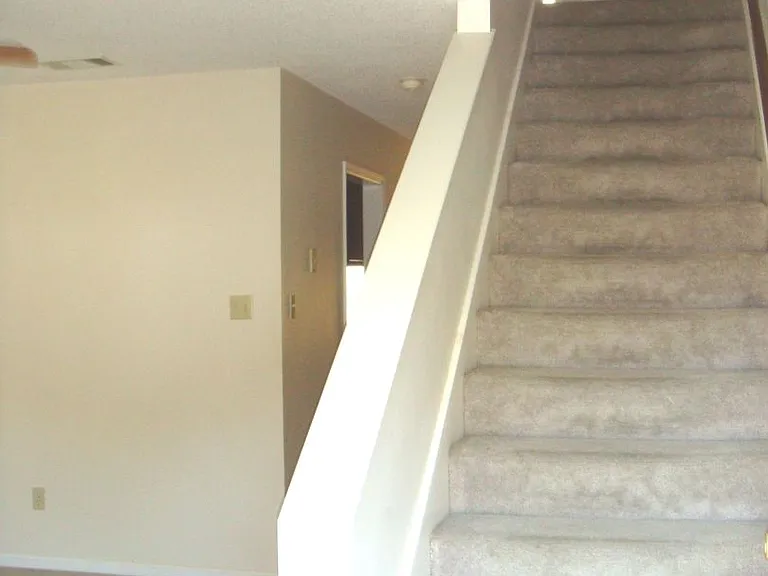1537 Woodard St — Photo 7