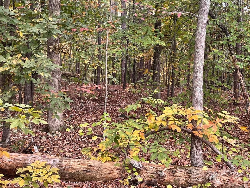 2nd image of 41 Foxfire Ln