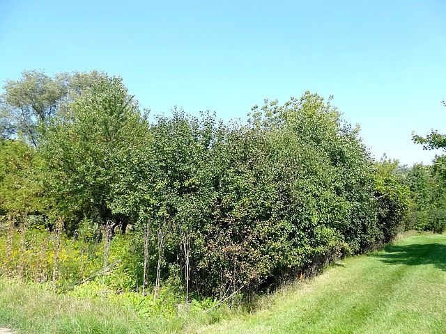 2nd image of 3915 Beaver Run Dr