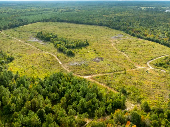 0 Fortner Pond Rd Tract 1, Kite, GA 31049