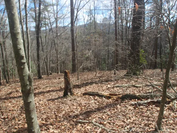 LT Sixteen Morningside Ct #A, Ellijay, GA 30540